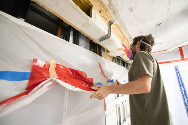 Best Mold Damage Restoration  in Perkasie, PA